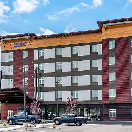 Comfort Inn & Suites Lakewood By Jblm Dış mekan fotoğraf